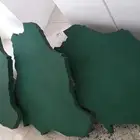 يوم الوطني...فلين
