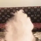 كنب محمود سعيد ارضي