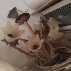 ثريا نجفه وديكور لمبات