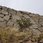 مقاول ومعلم حجر كبير بكلين الجوال