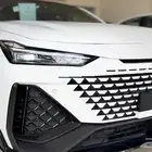 شانجان يوني في سبورت 2025