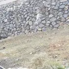معلم حجر جده الحرازات مجمع أنواع الحجر