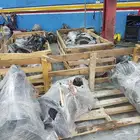 جيرات دينا وكرونات ياباني شد بلاد كل الموديلات مع ضمان