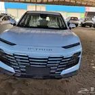 جيتور داشنق