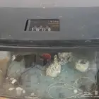 حوض سمك كبير بحاله جيده