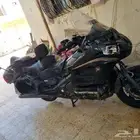 قولد وينق 2016 تشليح