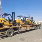 كرينات ورافعات شوكيه