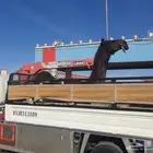 دنا ونش هيدروليك لنقل الأبل