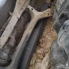 كمر خلفي كامري موديل 2020