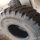 المدينه