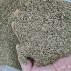 كمون سوري 25 k.g