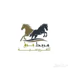 اسطبل ايواء مربط خيل