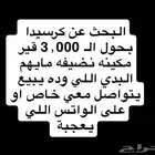 كرسيدا