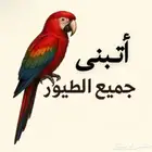 أتبنى جميع أنواع الطيور