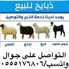 للبيع ذبايح طيب