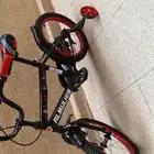 سيكل 2022 اكوبرا