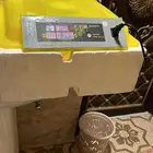 فقاسه صيني