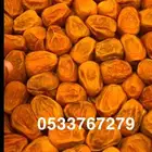 مفتل درجه حبه كبيره كبيرة