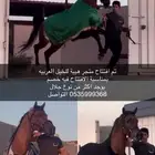 جلال