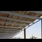 خيزران خوس- قصب بامبو