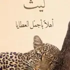 مصممة دعوات الكترونيه
