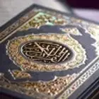 معلم قرآن كريم ولغتي