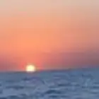 مرس الرايس