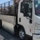 دينا نقل دينه توصيل دنه