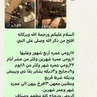 دواجن