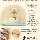 وجبات قطط صحيه