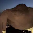 خلفه للبيع