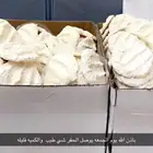 مضير -بقل-اقط