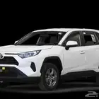 راف فور ستاندر 2024