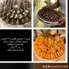 ضيافه زواجات وحفلات