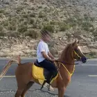 حصان شعبي