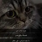 للتبني في جدة