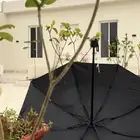 شاليهات واستراحات الطائف(الريحه)(10)