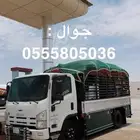 دينا 2014 خميس مشيط