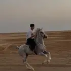 خيل