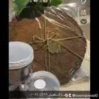 بخور