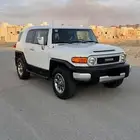 افجي 2010