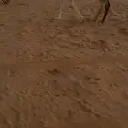 للبيع بكره وضحا باتليه للتواصل