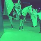 للحفلات والمناسبات (خيل-سيسي-حنطور -جمل) في الشرقية