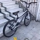 كوبرا مقاس 24