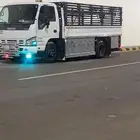 مشوار دينا دنه داخلي وخارجي حفر الباطن