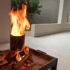 حطب قرض افريقي