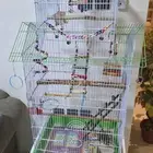 قفص طيور كبير نظيف