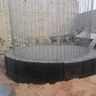 www