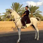 حصان واهو