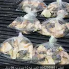 صرنباق ام اصبع